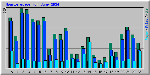 Hourly usage for June 2024